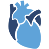 Cardiologo
